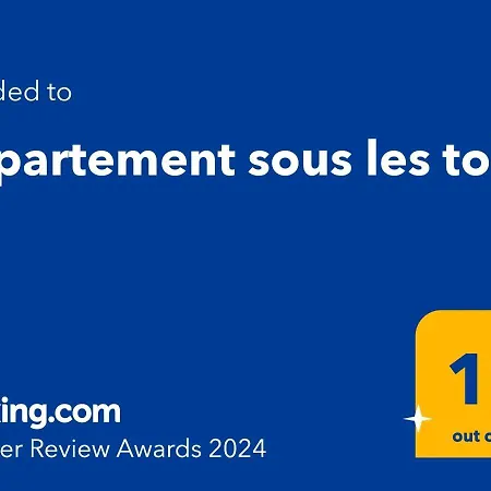 Apartment Sous Les Toits *